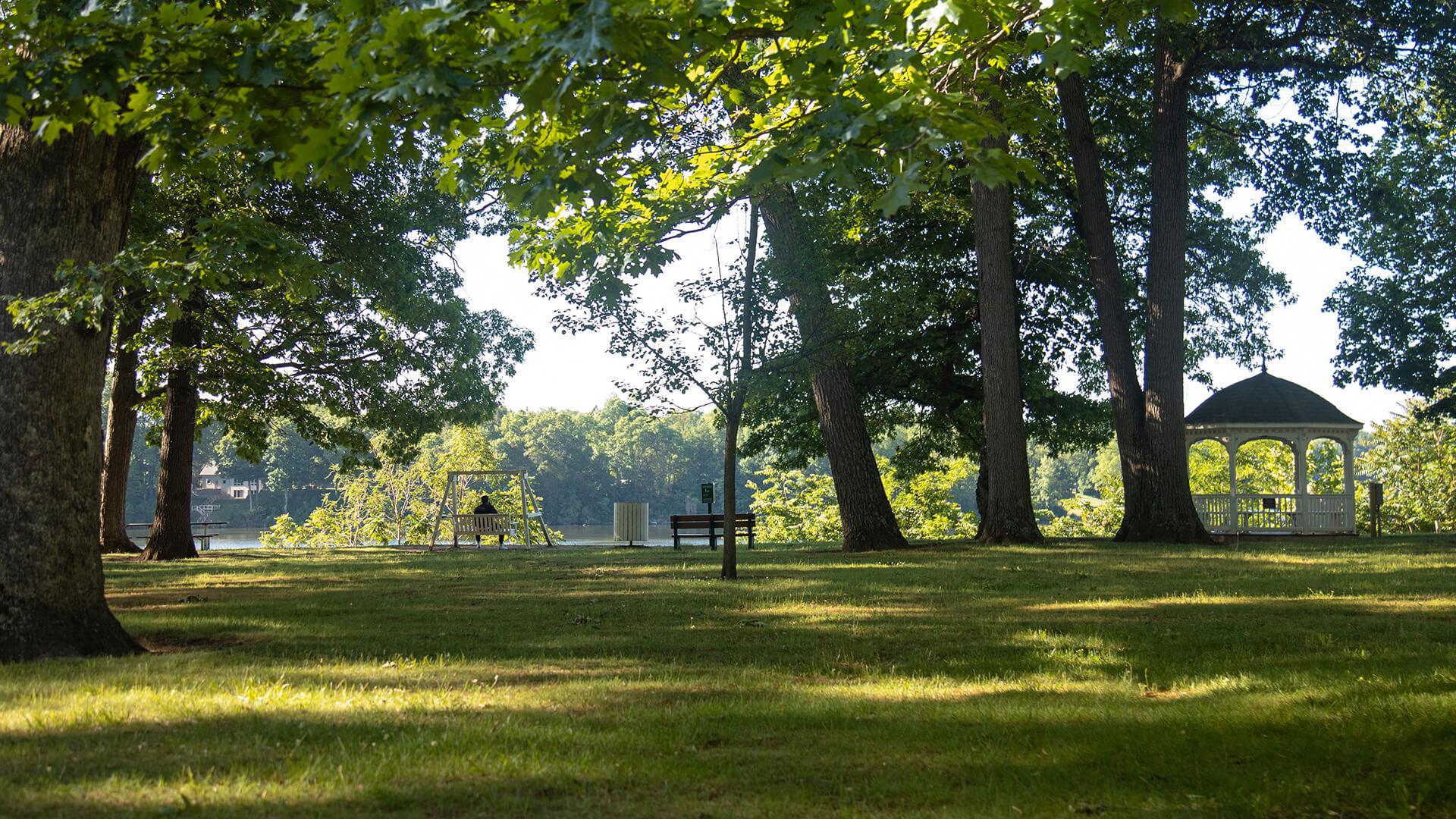 shaded park on a sunny day