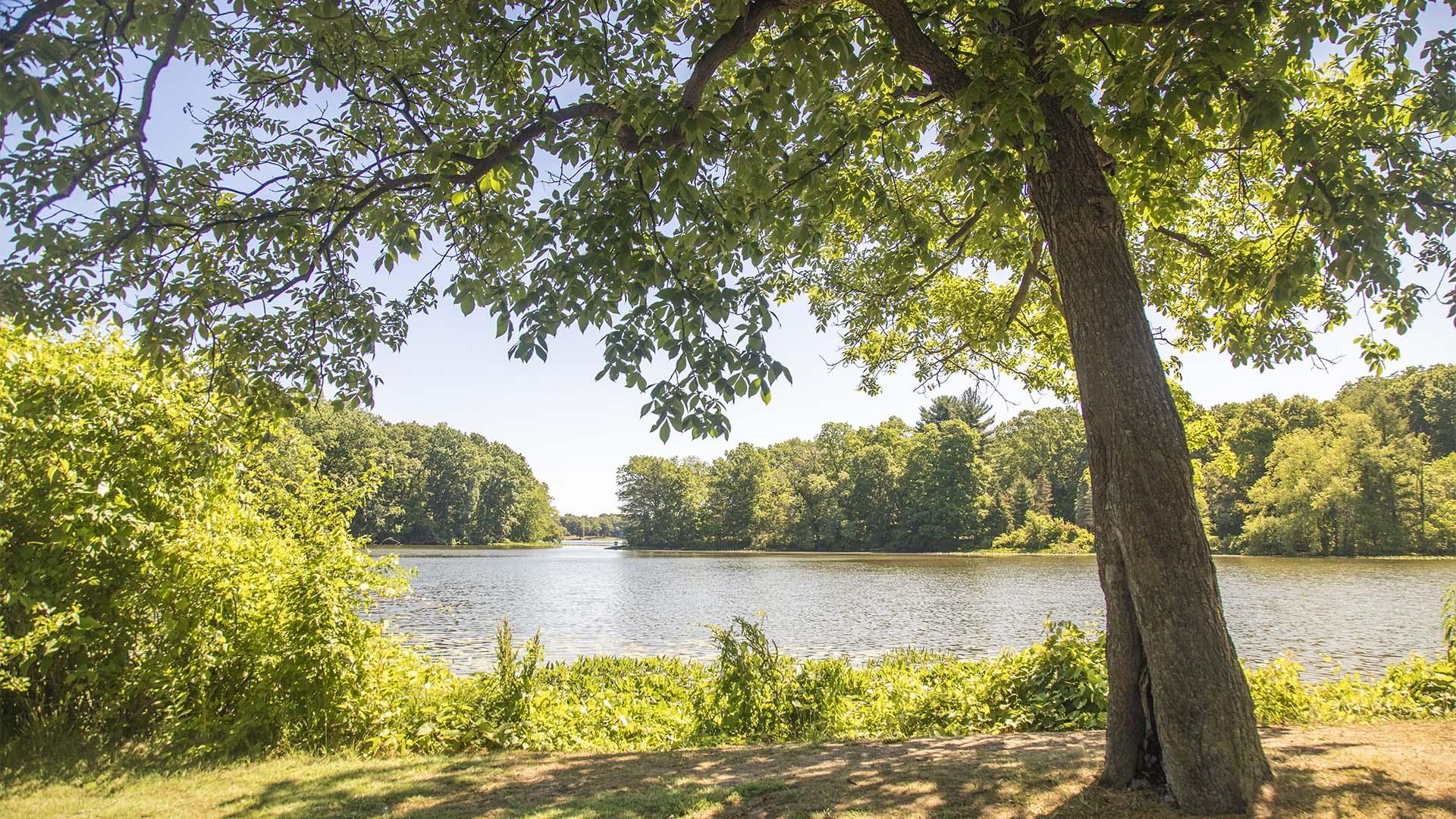 James Heddon Park